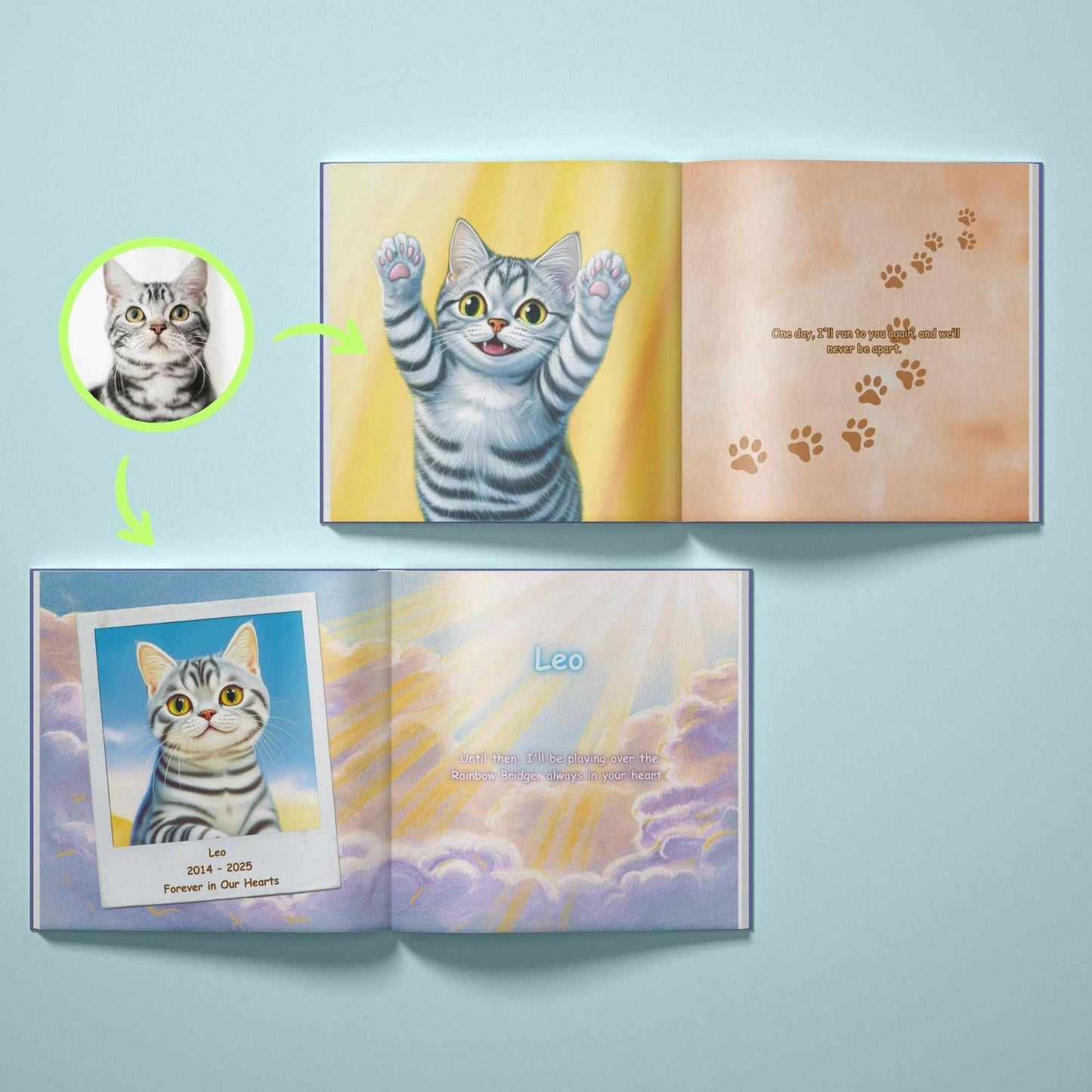 At the Edge of the Rainbow - Cat Memorial Book