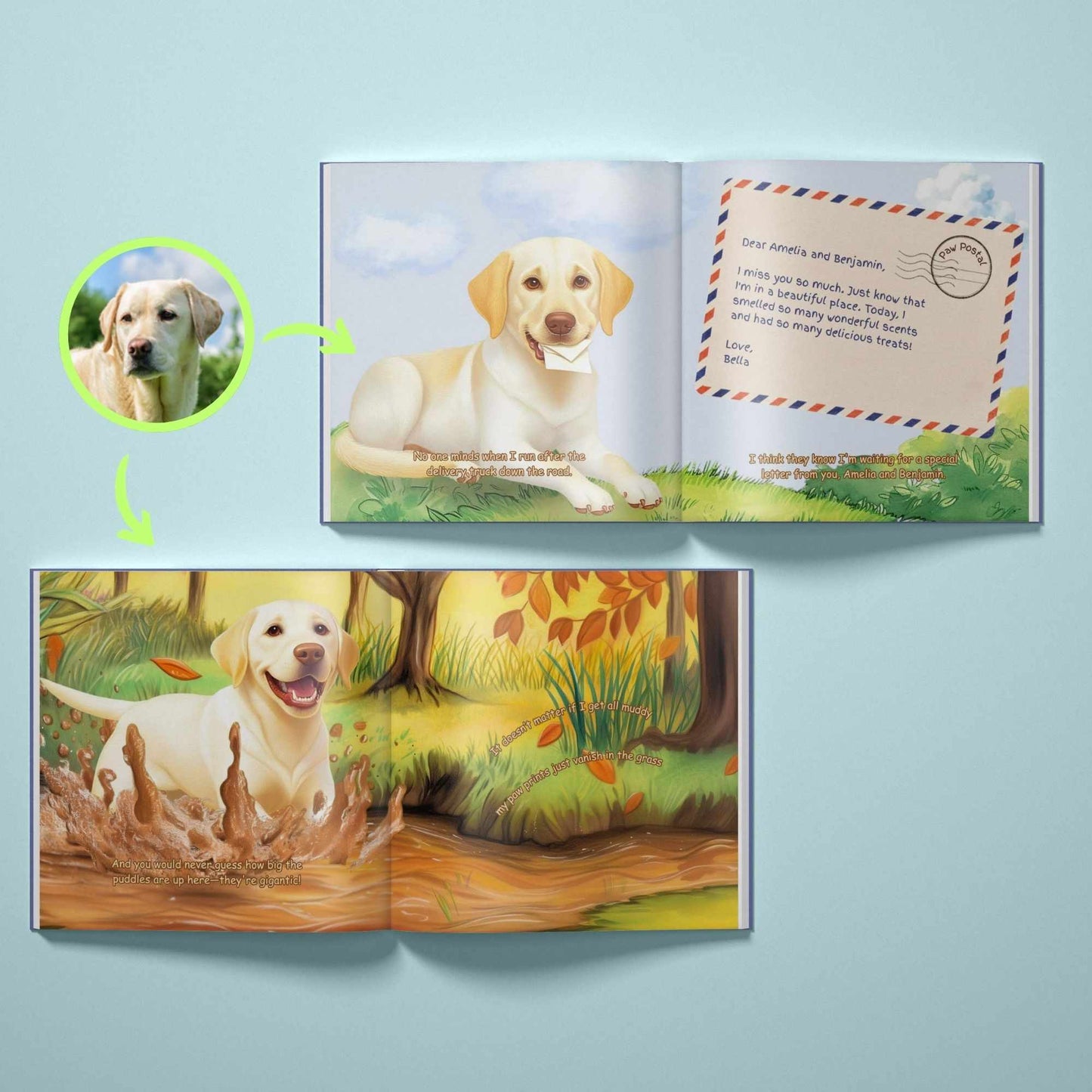 At the Edge of the Rainbow - Dog Memorial Book