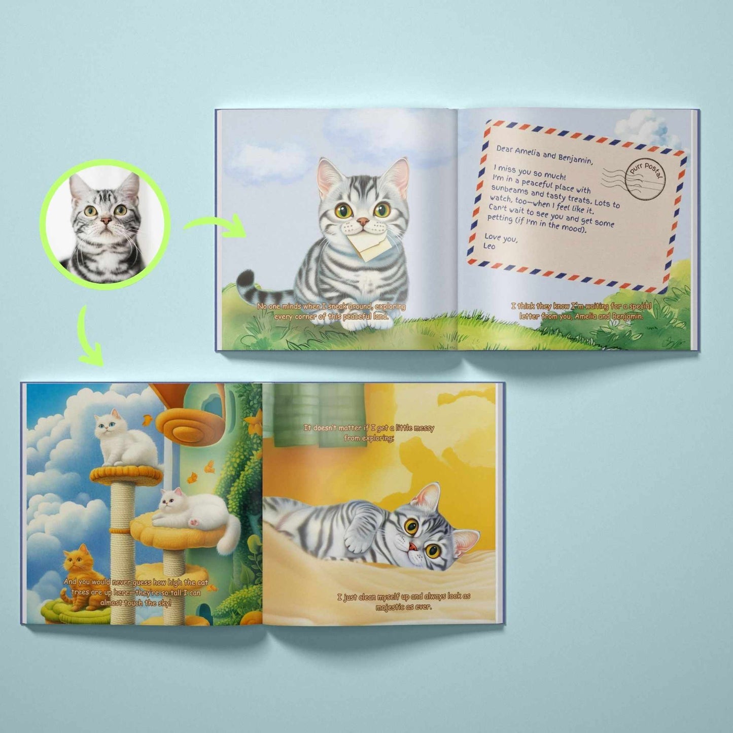 At the Edge of the Rainbow - Cat Memorial Book